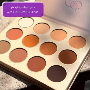 پالت سایه چشم شیگلم Smart Cookie